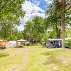 Ardoer cp. & bungalowpark De Haeghehorst in YES true - rentatentnederland.nl