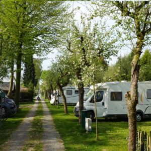 Camping De Linie in Opheusden Gelderland