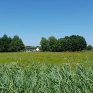 Campspace in Bergentheim
