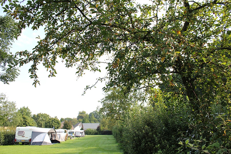 De Betuwe Hoeve in Ommeren Gelderland