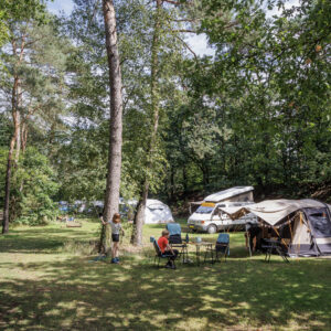 Huttopia De Veluwe in YES true - rentatentnederland.nl