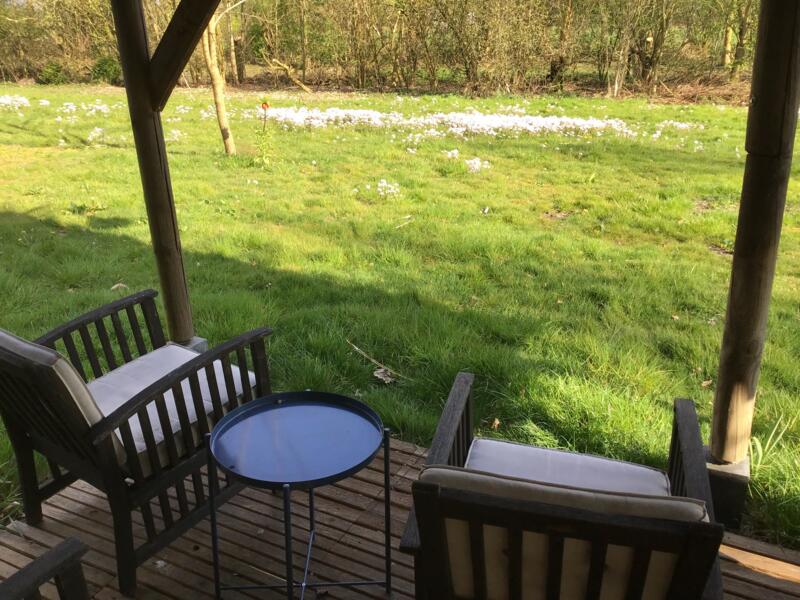 Campspace in Ekehaar
