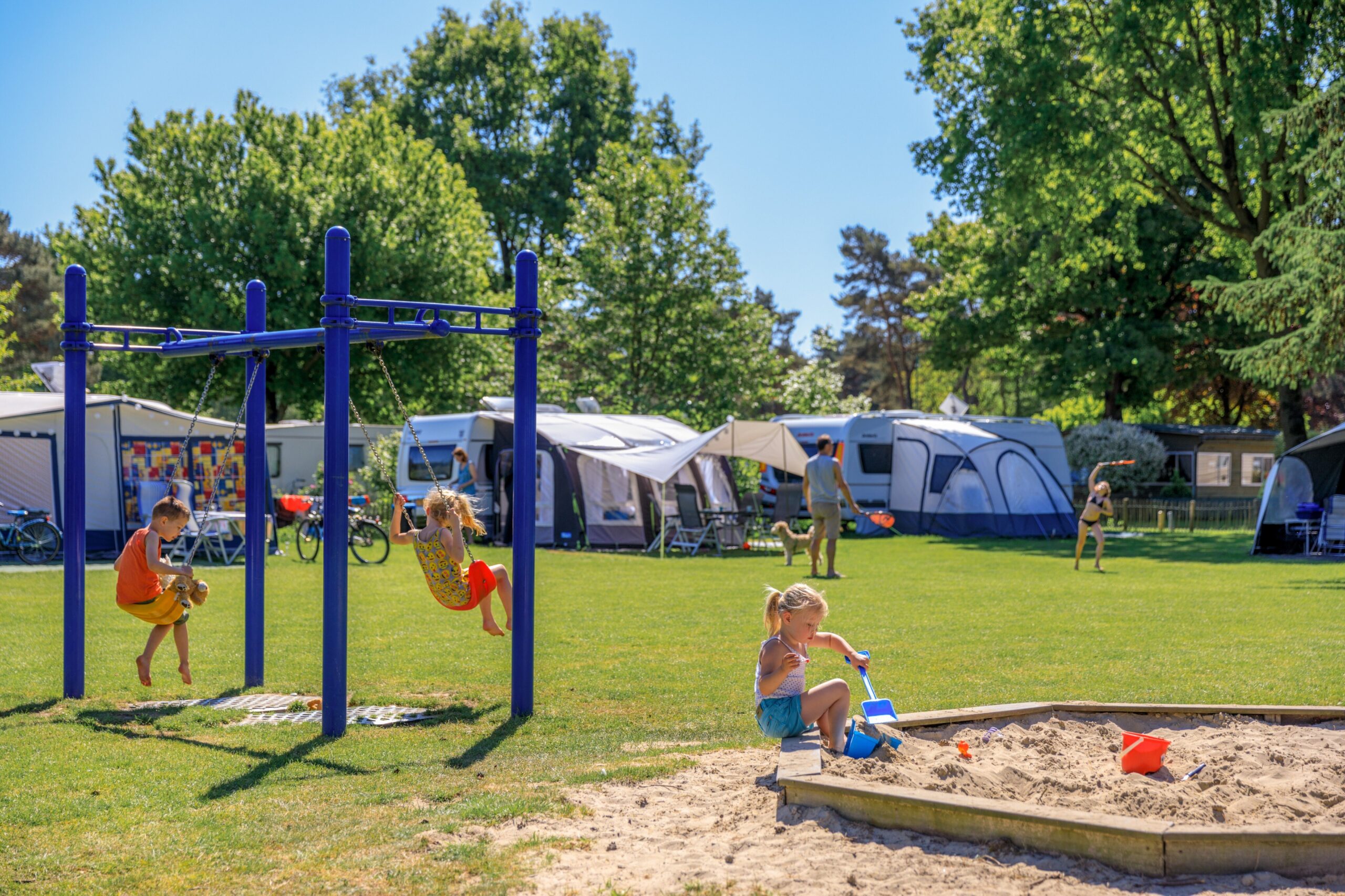 De Heldense Bossen in Helden Limburg - Afbeelding 2