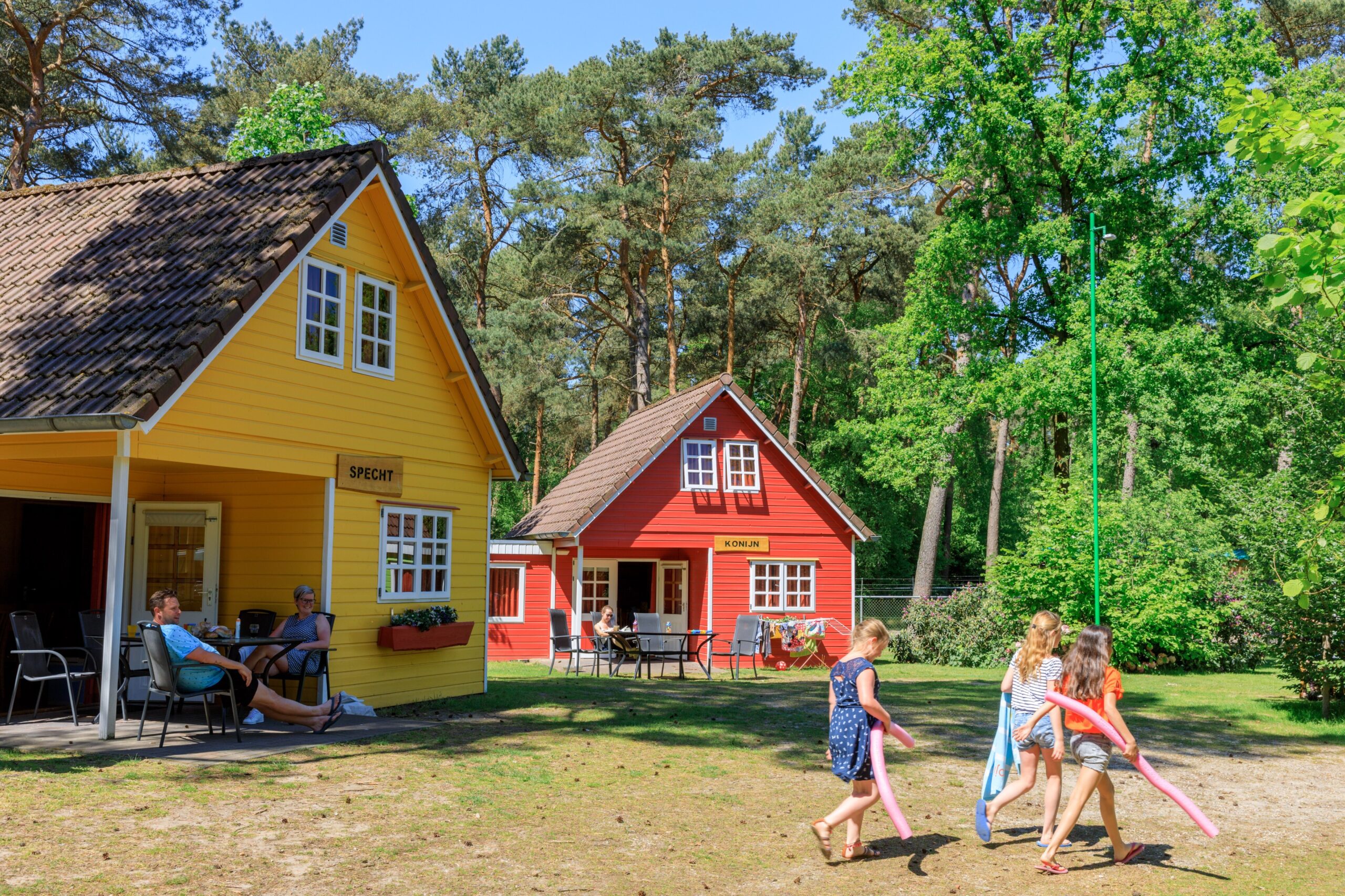 De Heldense Bossen in Helden Limburg - rentatentnederland.nl