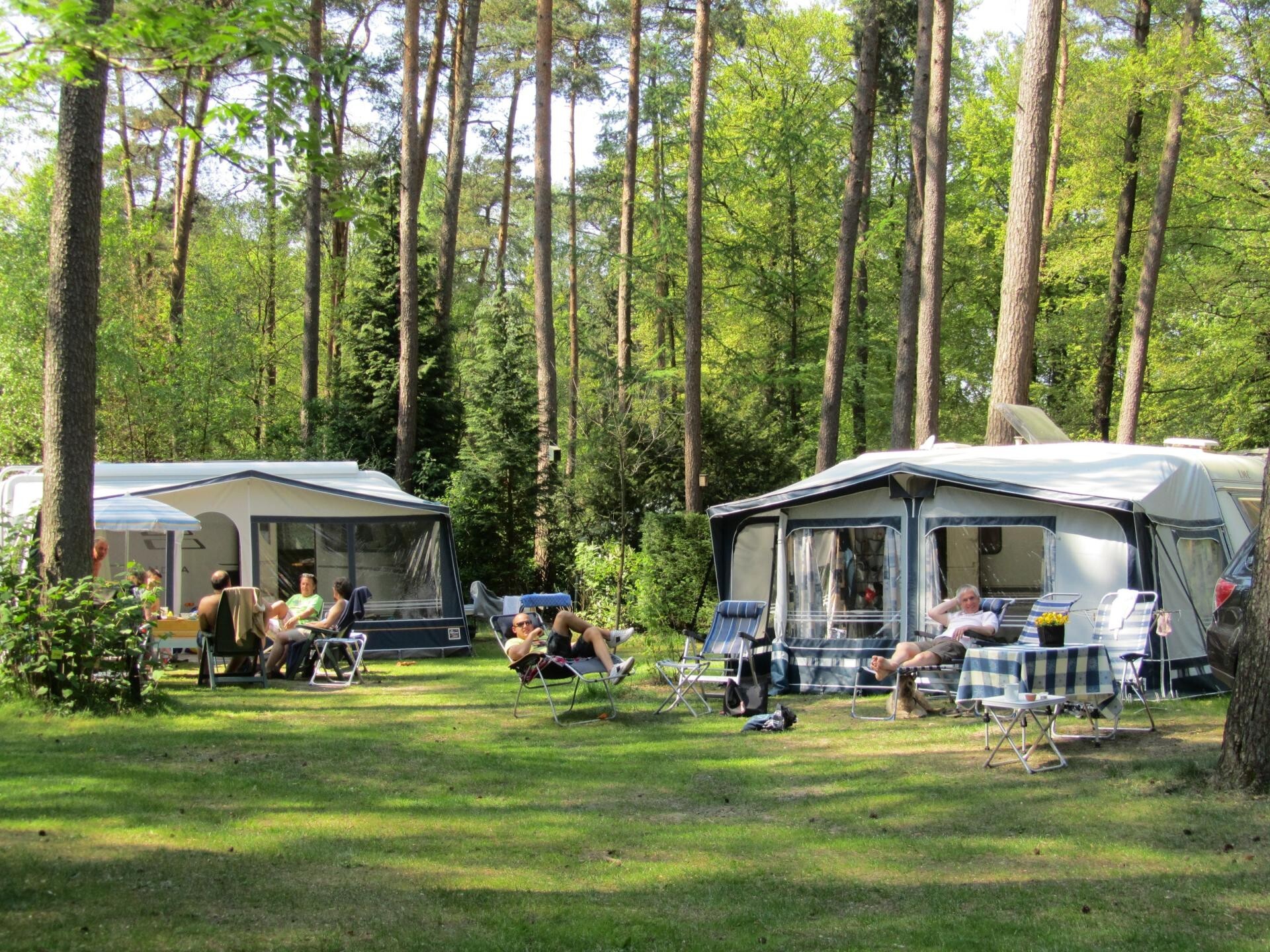 De Jutberg in Laag-Soeren Gelderland - Afbeelding 2