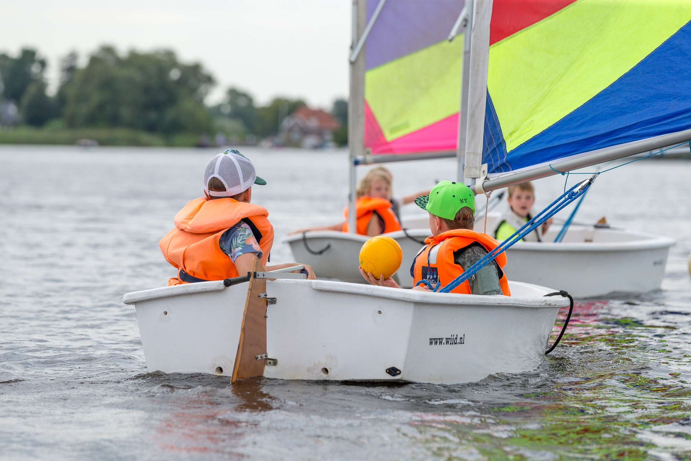 It Wiid in Earnewâld Friesland - Afbeelding 2