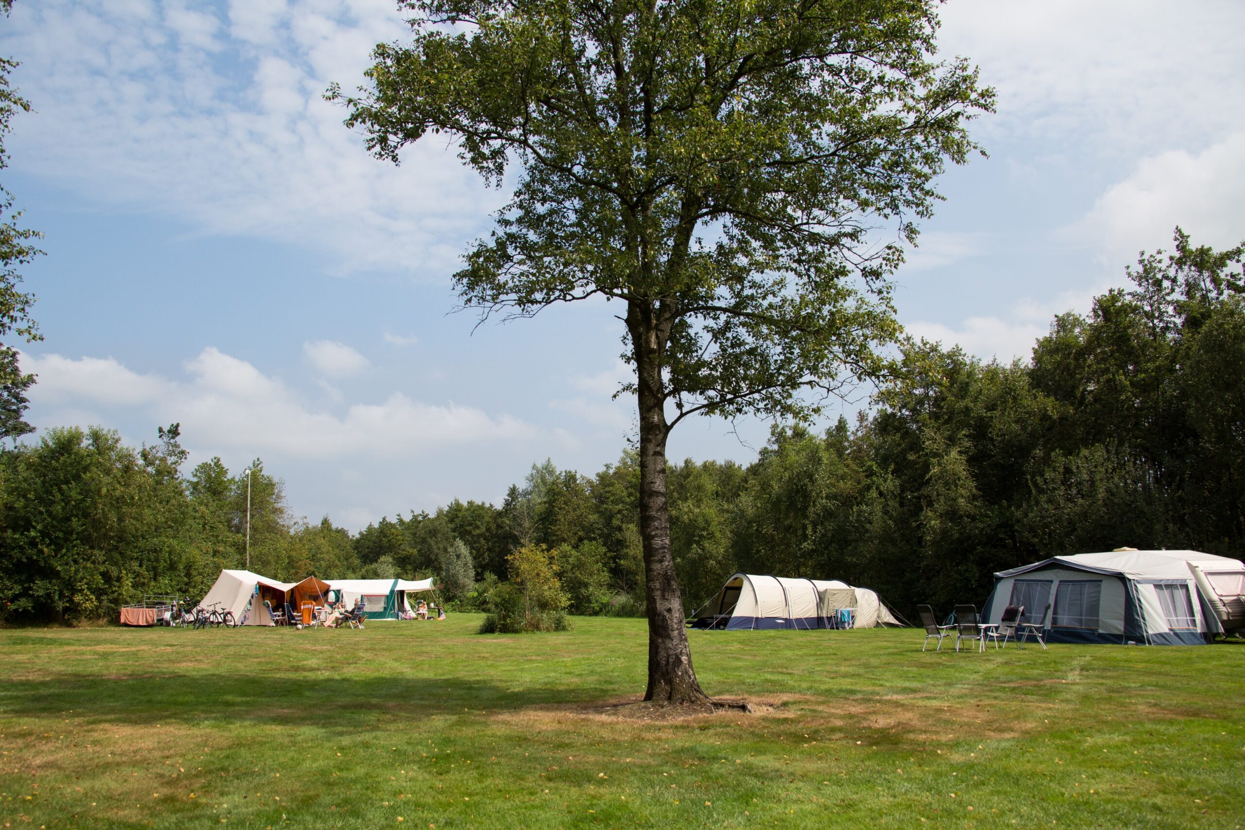 It Wiid in Earnewâld Friesland - Afbeelding 3