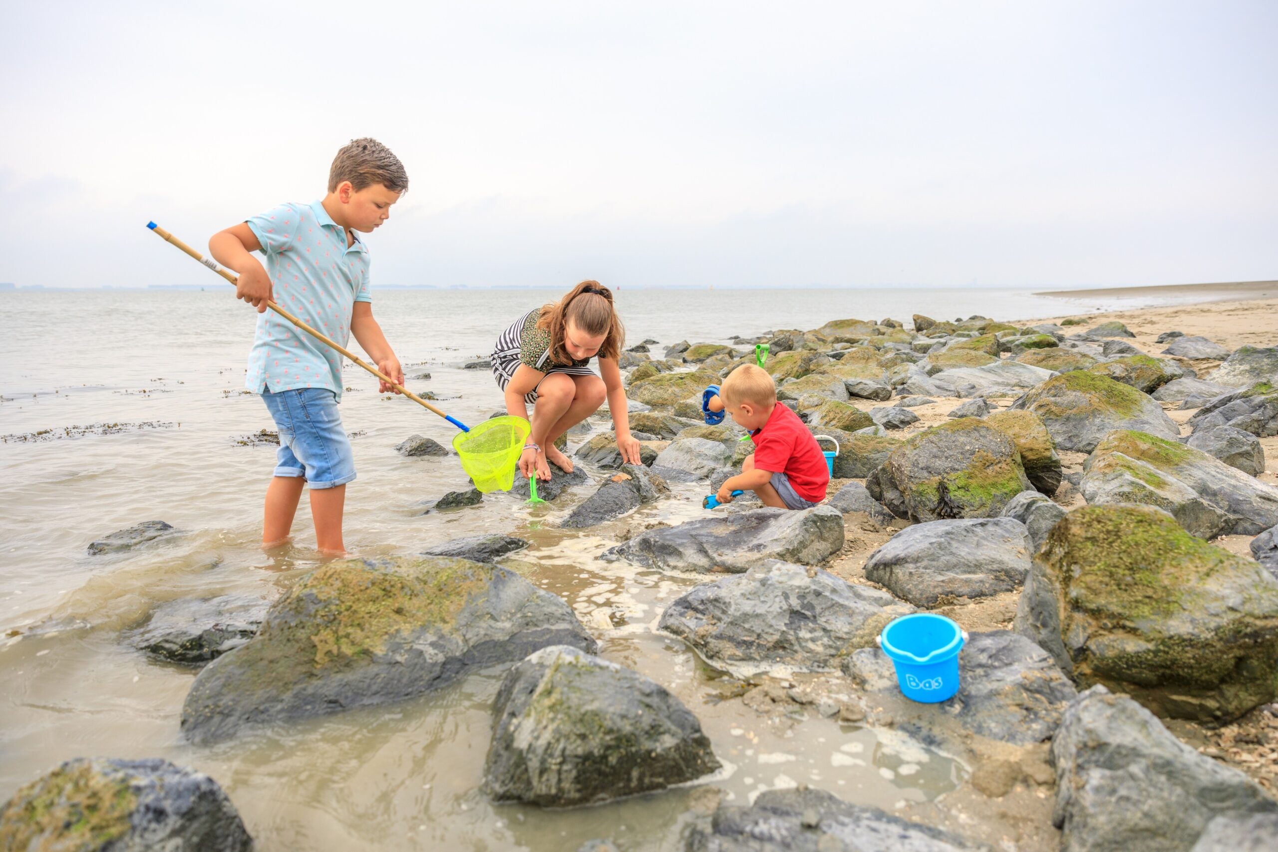 Scheldeoord in Baarland Zeeland - Afbeelding 3