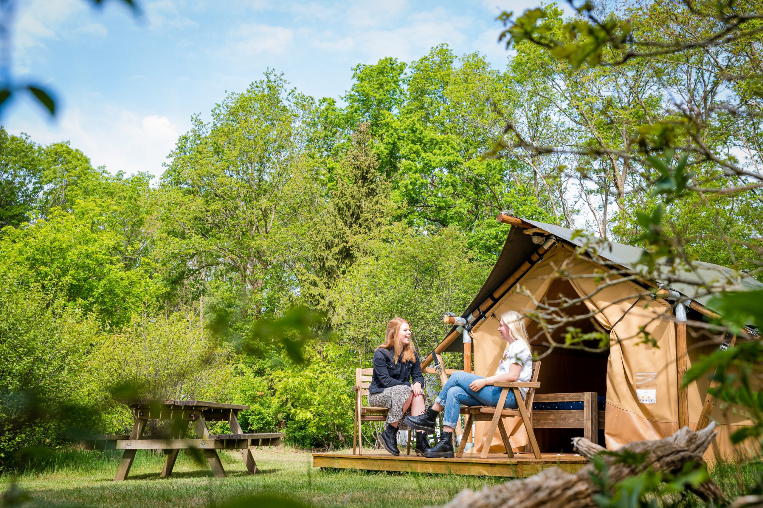 Torentjeshoek in Dwingeloo Drenthe - Afbeelding 2