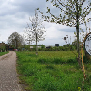 Boerencamping met dieren en natuur