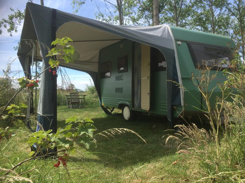 Ecologisch kamperen in voedselbos Oest. Ritthem