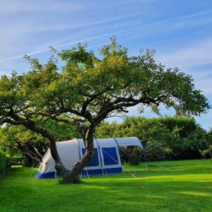 Natuurcamping met boomgaard en uitzicht