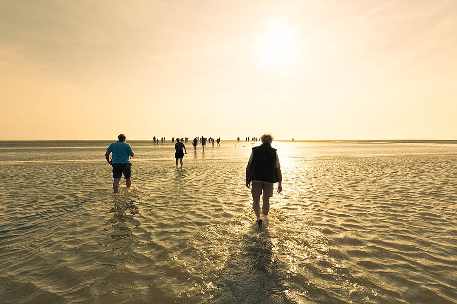 Siblu Camping Lauwersoog in Lauwersoog Groningen - Afbeelding 3