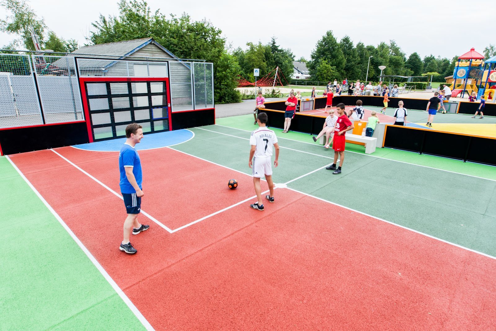 't Rheezerwold in Hardenberg Overijssel - Afbeelding 3