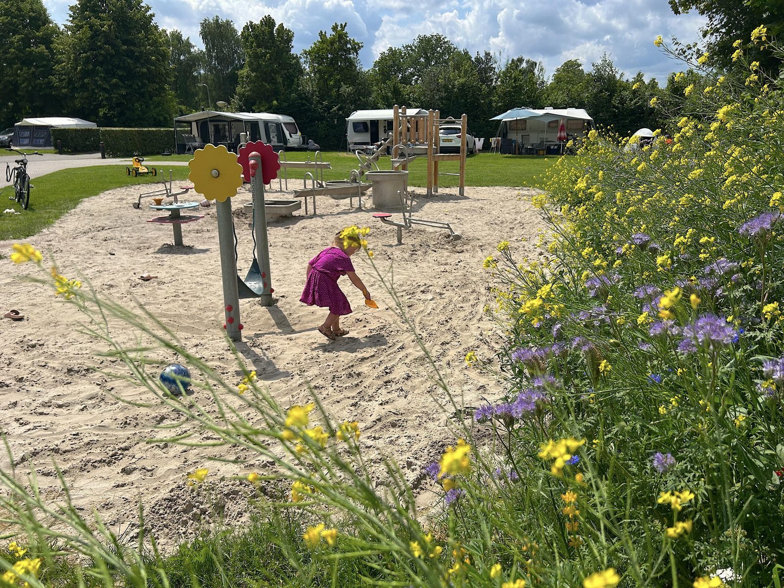 't Rheezerwold in Hardenberg Overijssel - Afbeelding 4