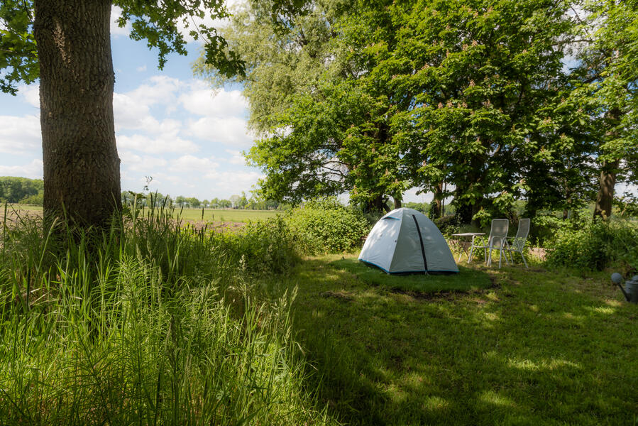 Boerencamping bij natuurgebied Kampina