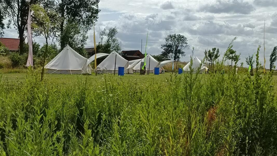 Boerencamping met kunstateliers in de polder