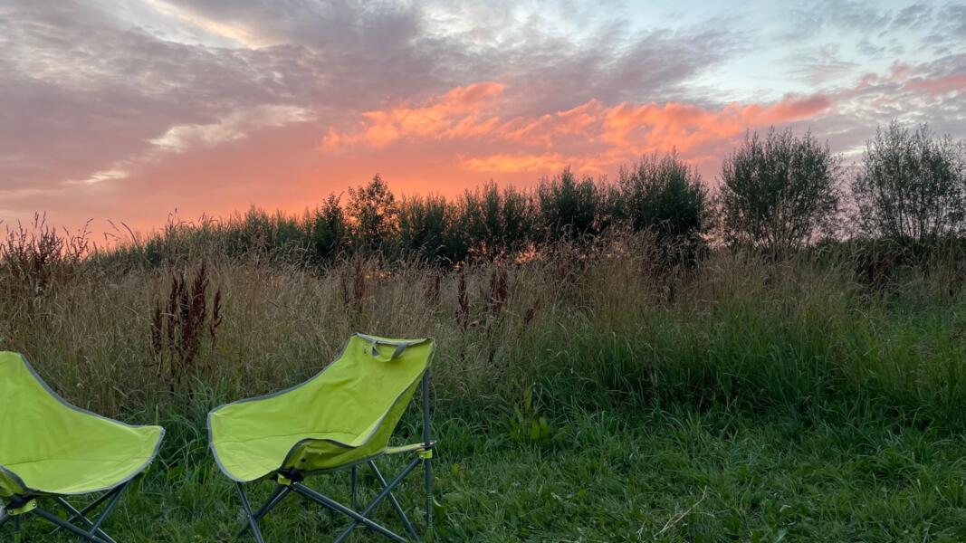 Boerencamping met paarden