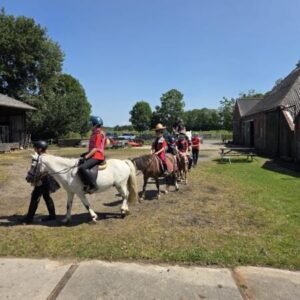 Campspace aan het Reitdiep op de manege in Garnwerd