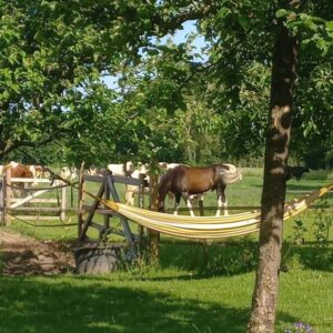 Campspace in Almen