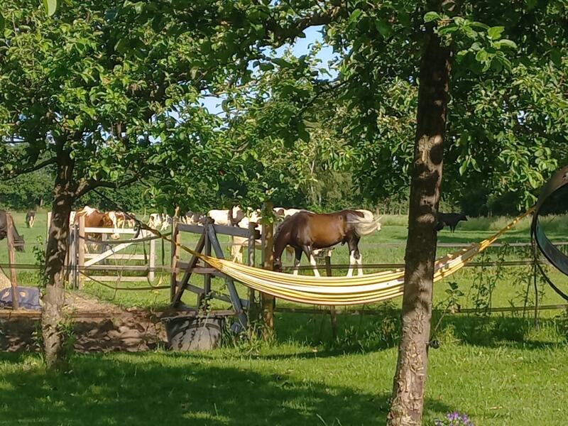 Campspace in Almen