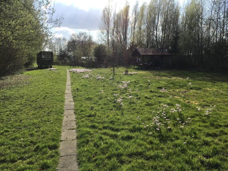 Campspace in Ekehaar