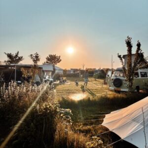 Campspace in jong voedselbos midden in het polderlandschap. Anna Paulowna