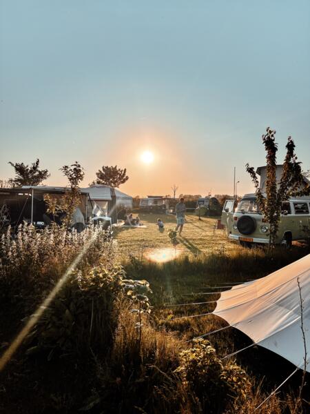 Campspace in jong voedselbos midden in het polderlandschap. Anna Paulowna