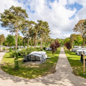 De Heldense Bossen in Helden Limburg - rentatentnederland.nl
