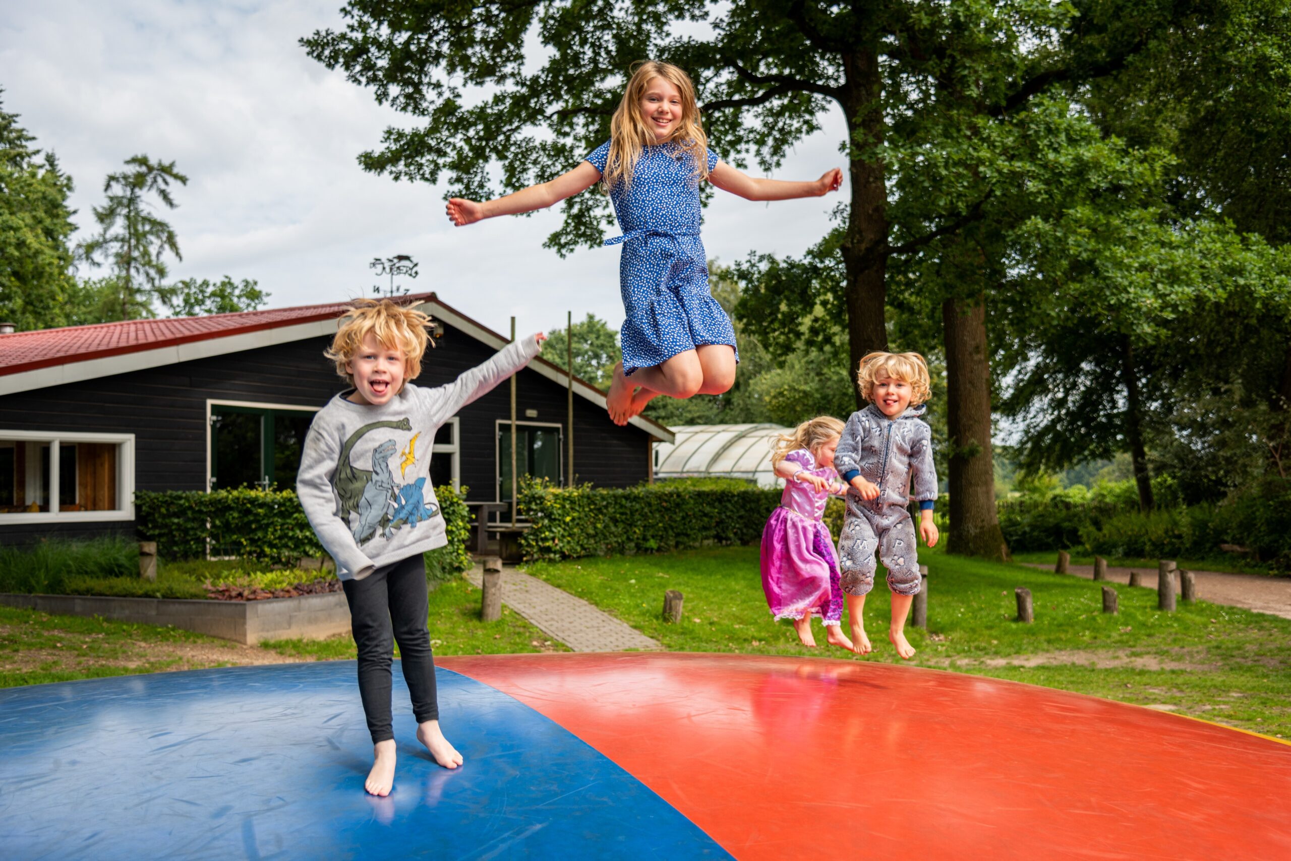 De Jutberg in Laag-Soeren Gelderland - Afbeelding 5