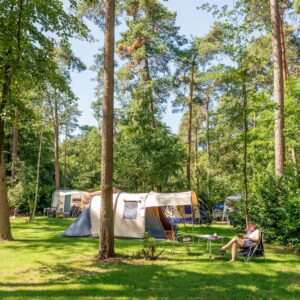 De Jutberg in Laag-Soeren Gelderland - rentatentnederland.nl