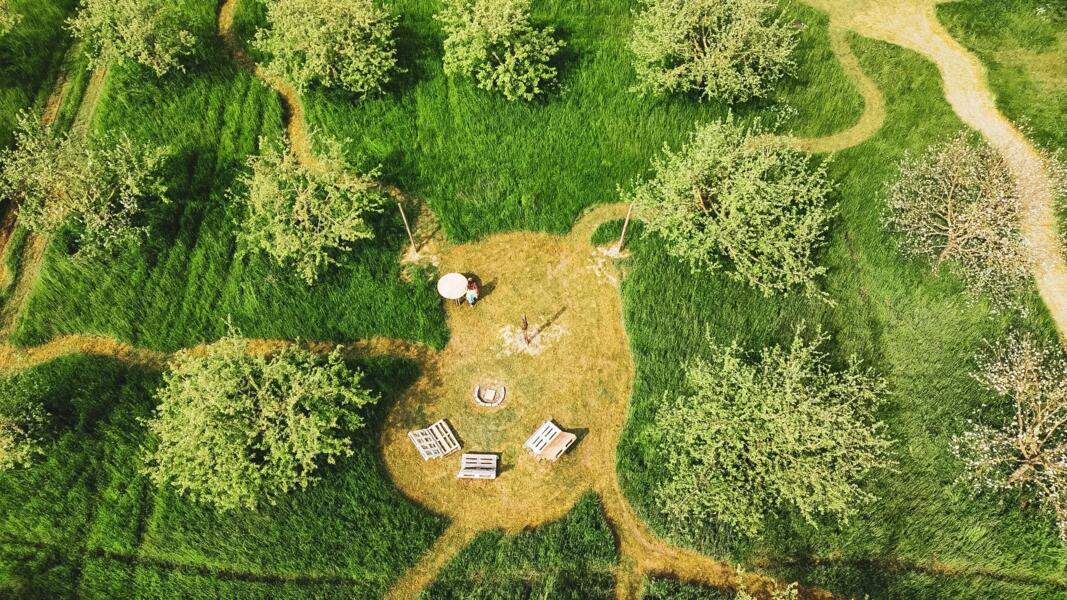 Groene en relaxte natuurcamping in het landelijke Toldijk. Toldijk