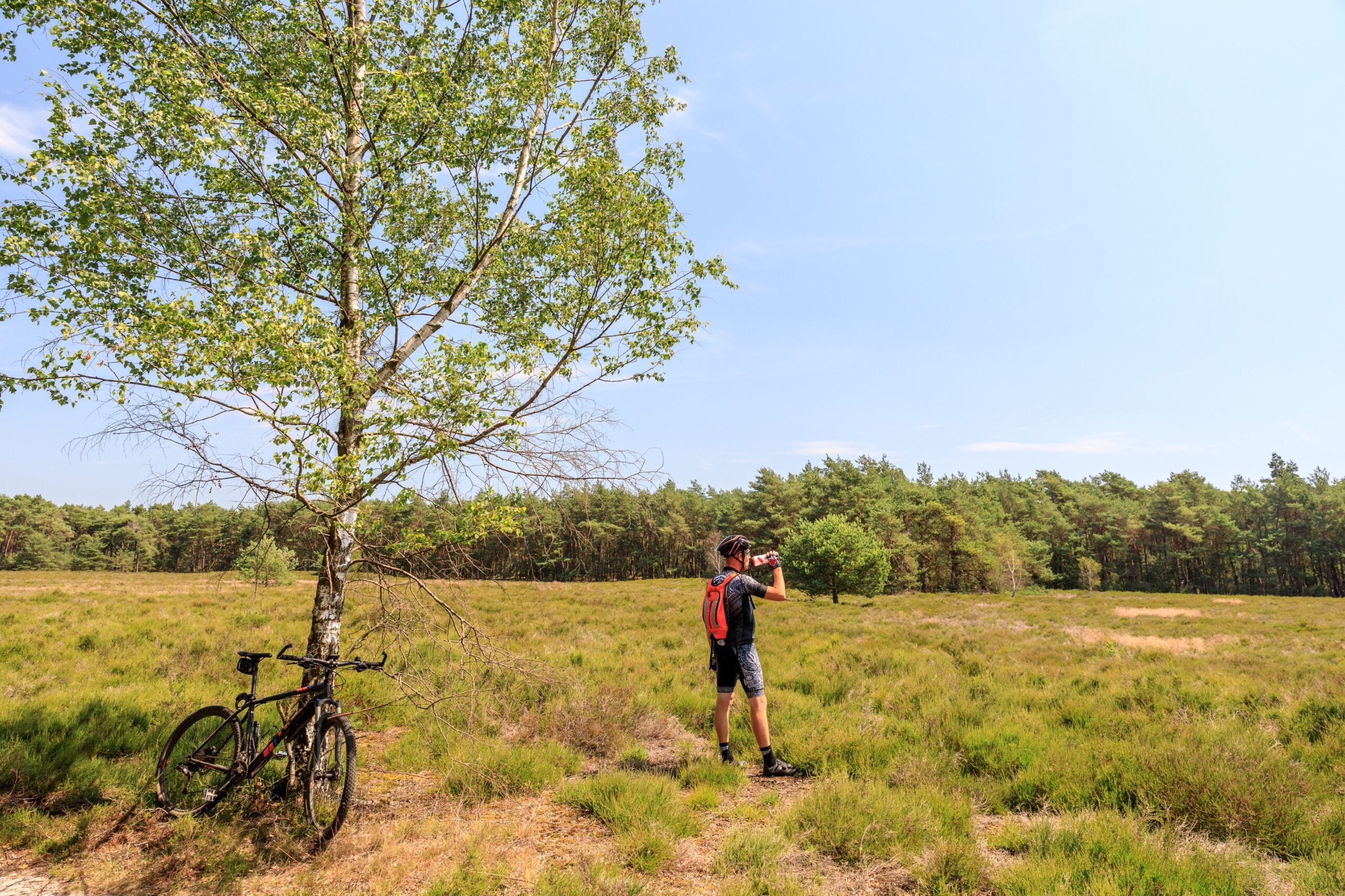 Holterberg in Holten Overijssel - Afbeelding 5