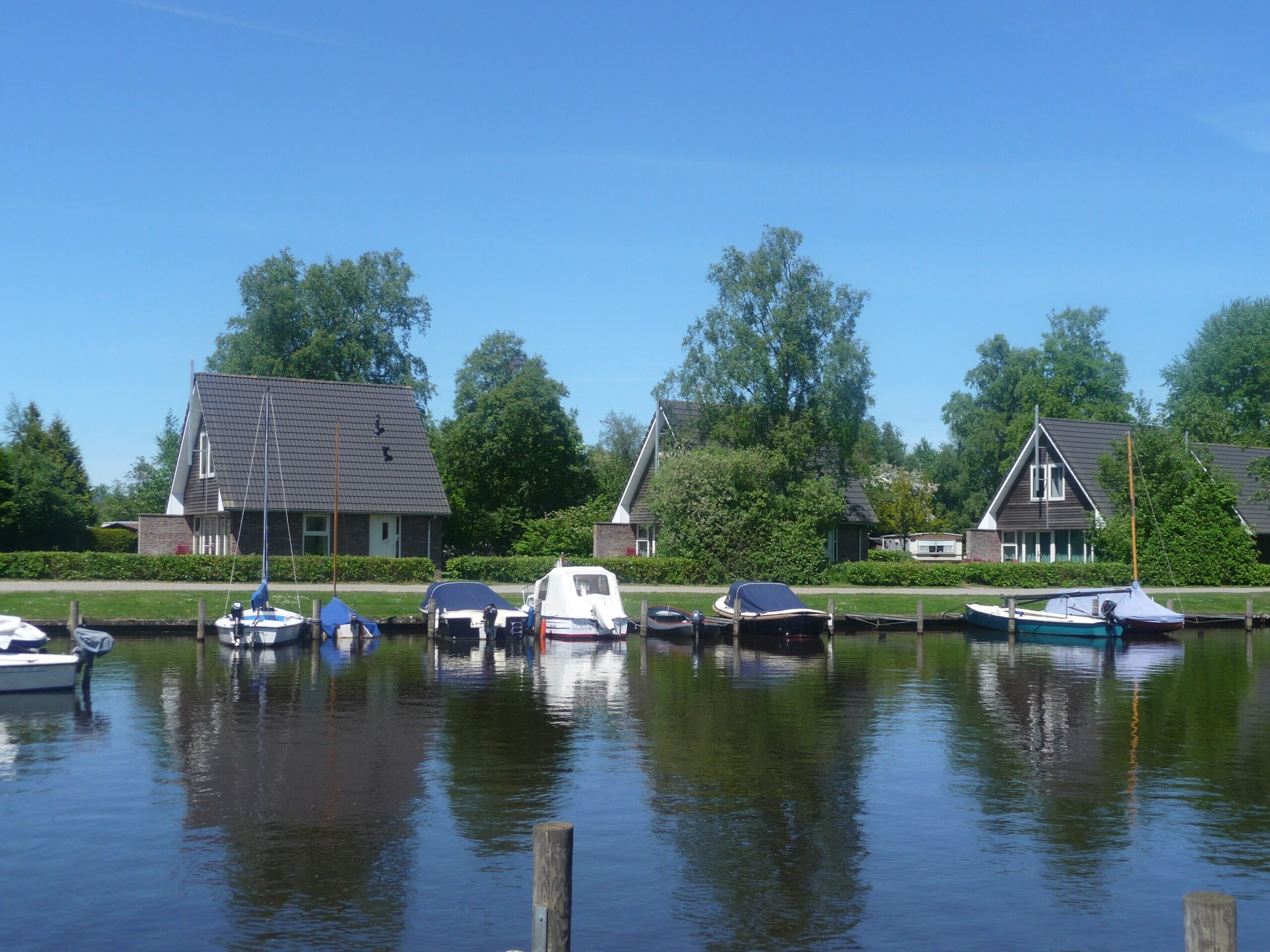 It Wiid in Earnewâld Friesland - Afbeelding 5