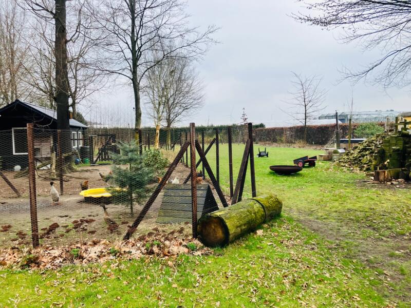 Slaaphuisje in de tuin