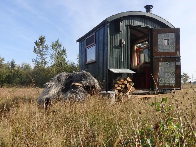 Tiny House aan heide natuurgebied