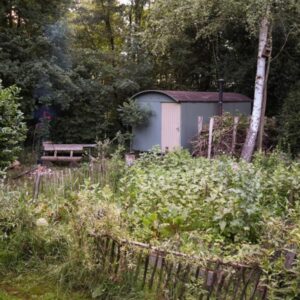 Boerencamping met zwemvijver