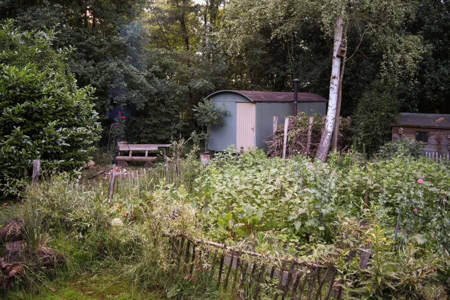 Boerencamping met zwemvijver