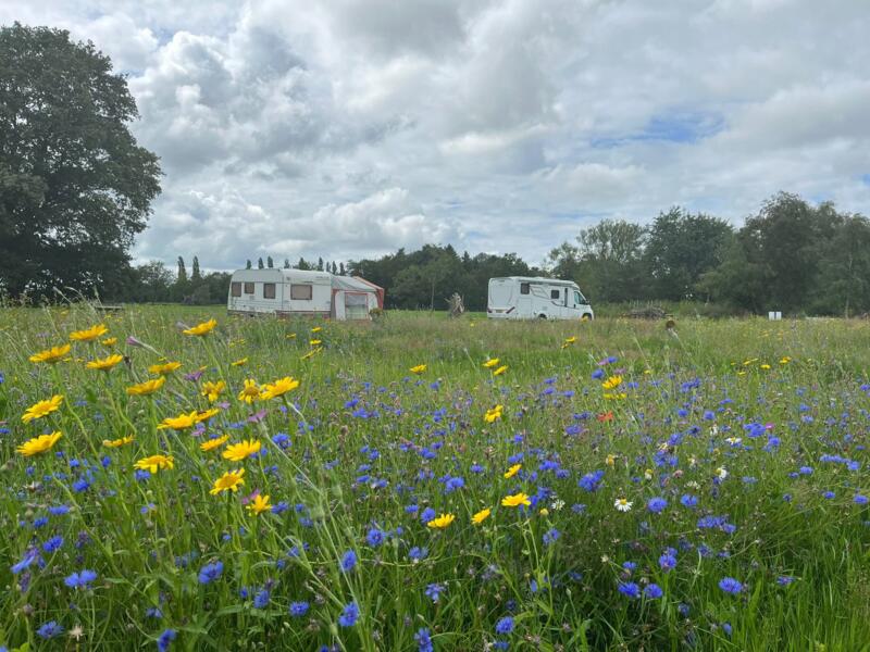 Rustige minicamping in Zuidoost-Friesland: ruime kampeerplaatsen