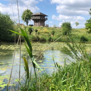 Camping De Linie in YES true - rentatentnederland.nl