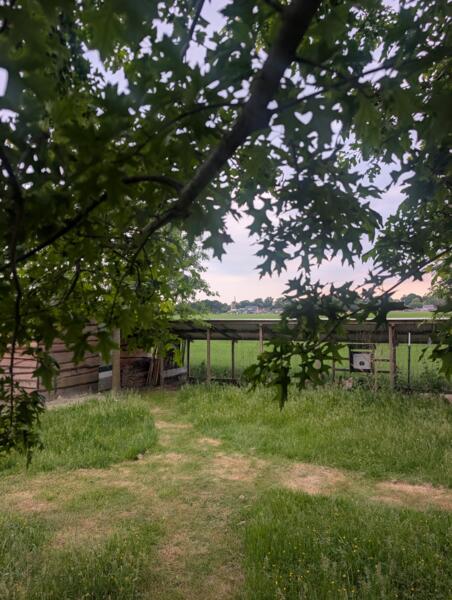 Campspace in Weerdinge